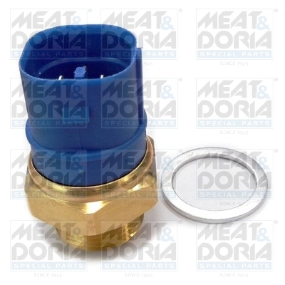 Temperature Switch, radiator fan